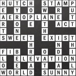 J-8 World Biggest Crossword Answer