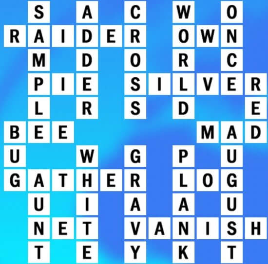 E-14 World Biggest Crossword Answer