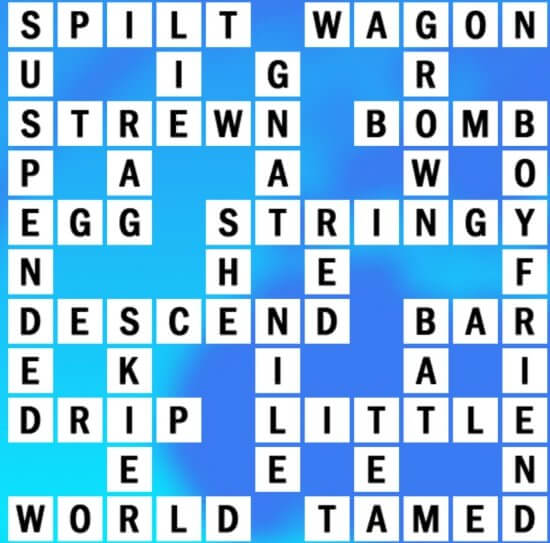 F-5 World Biggest Crossword Answer