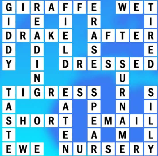 G-15 World Biggest Crossword Answer