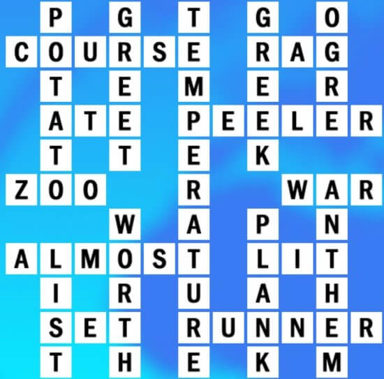 G-17 World Biggest Crossword Answer