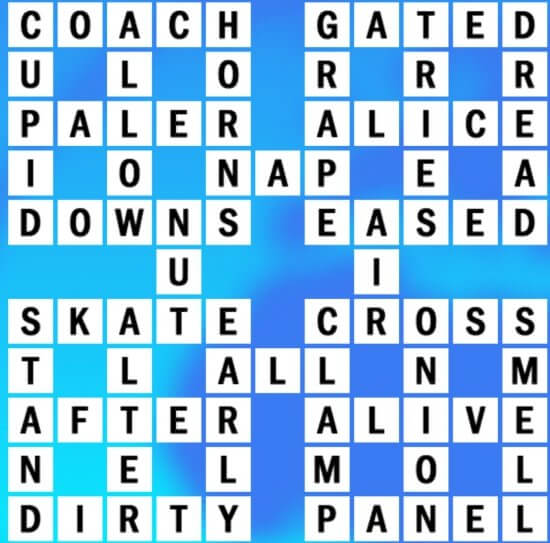 G-19 World Biggest Crossword Answer