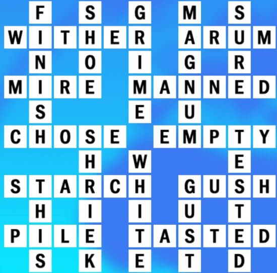 Dried Up Crossword Clue