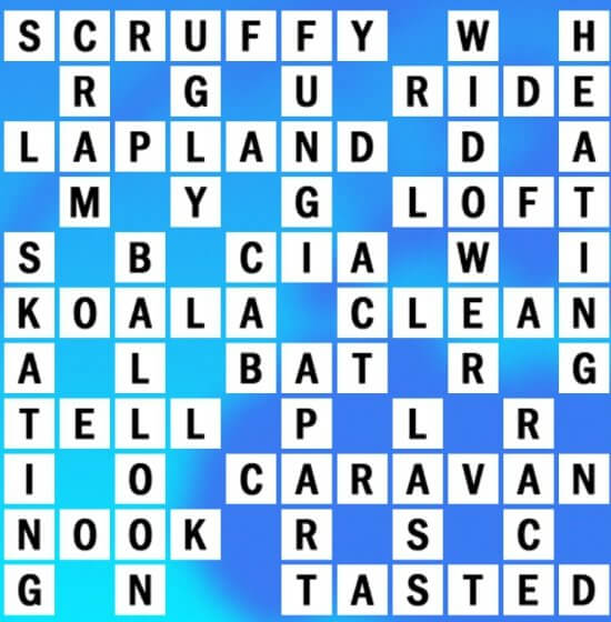 Grid O 10 Answers Solve World Biggest Crossword Puzzle Now