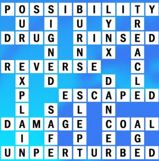 P-7 World Biggest Crossword Answer
