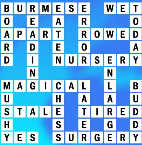 Q-13 World Biggest Crossword Answer