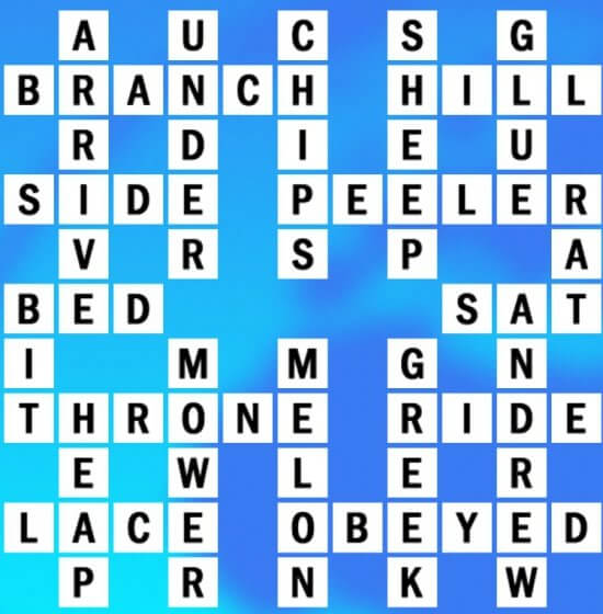 Q-16 World Biggest Crossword Answer