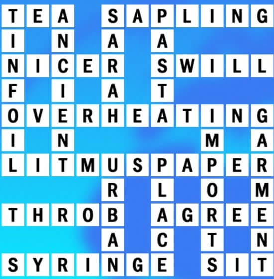 Q-18 World Biggest Crossword Answer