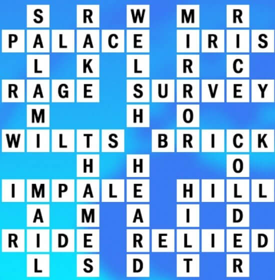 Q-6 World Biggest Crossword Answer