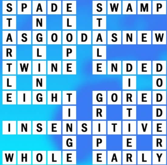 Popular dating site crossword clue