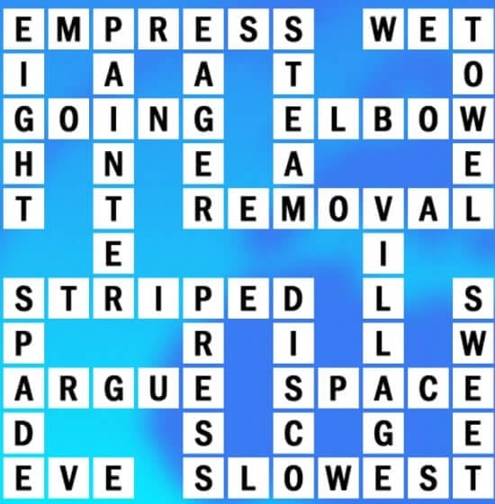 S-14 World Biggest Crossword Answer
