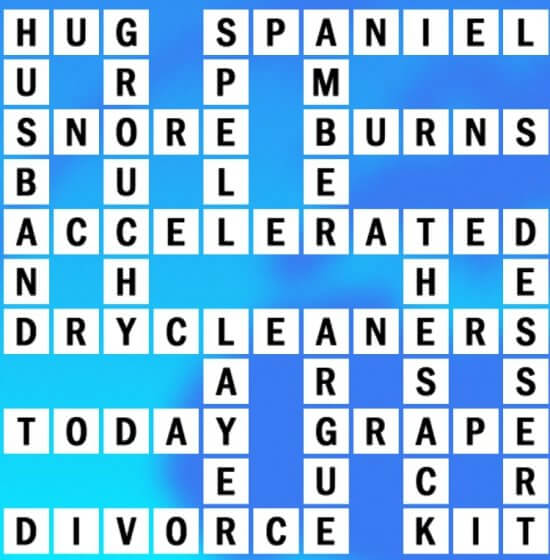 0731-22 NY Times Crossword 31 Jul 22, Sunday - NYXCrossword.com